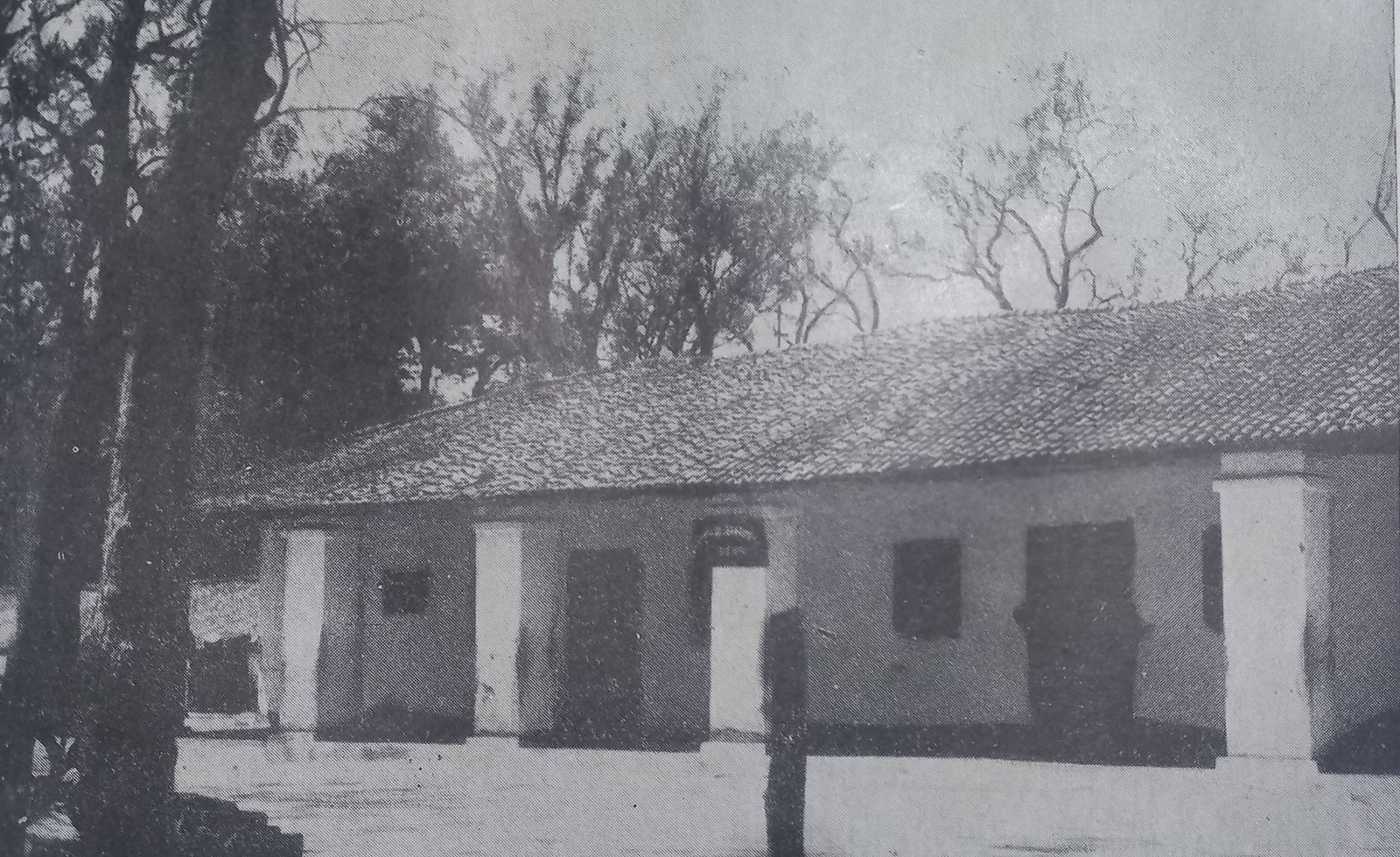 Gallery 1